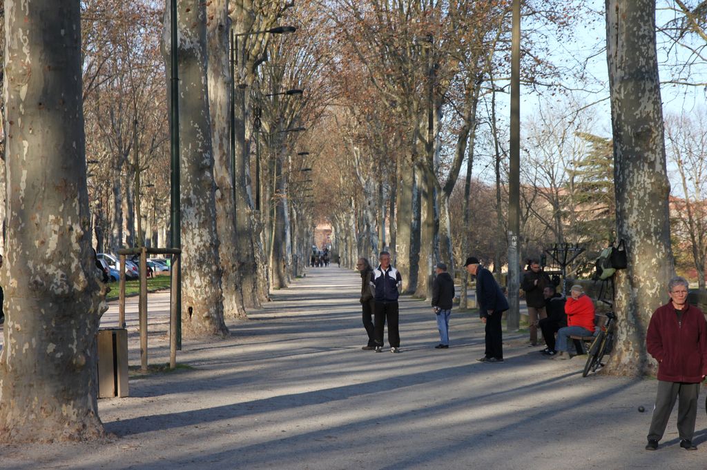 Les bords de Garonne